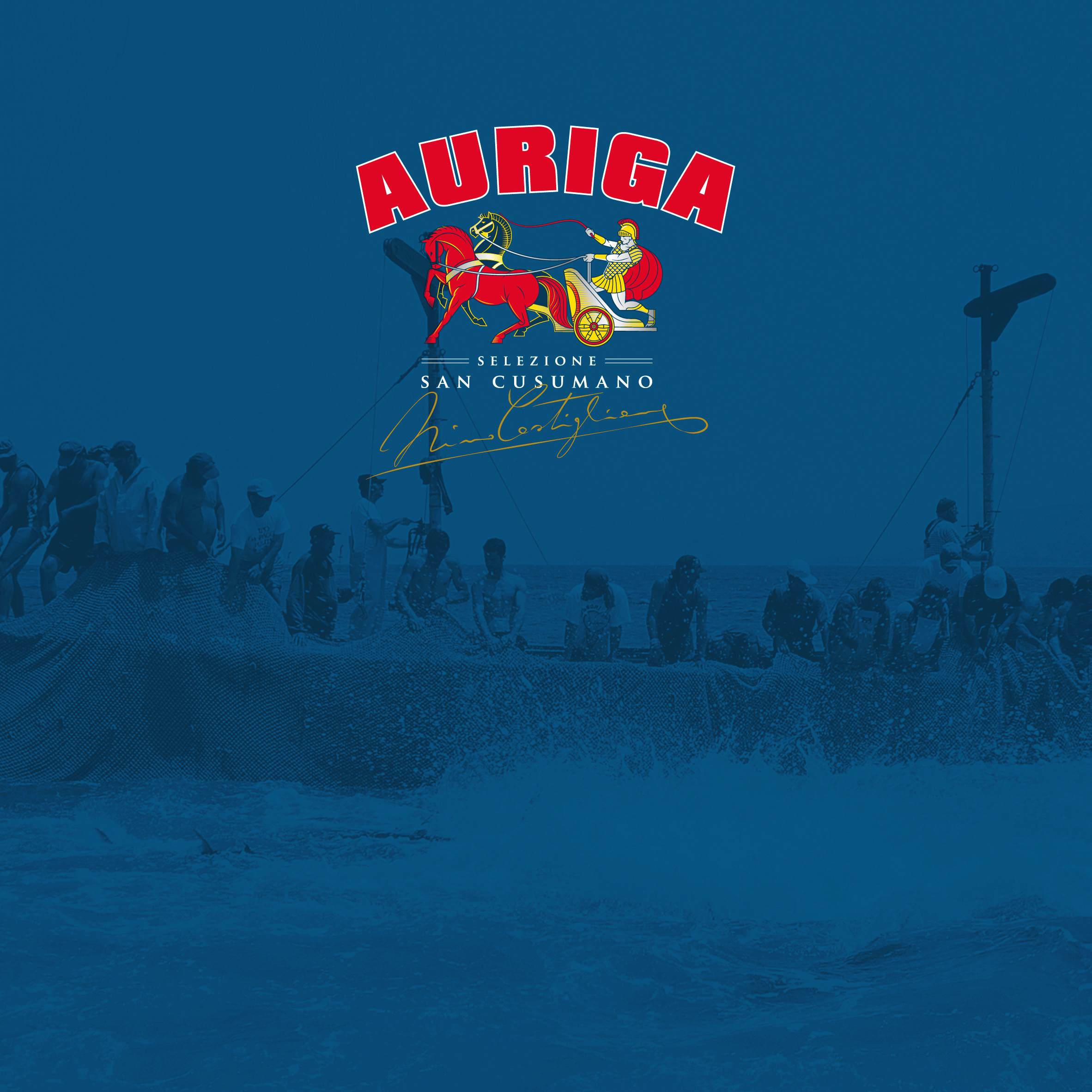 Adduma_Castiglione_Auriga_06